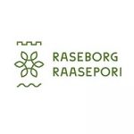 Raseborgs stad